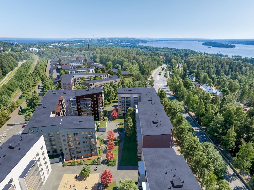 Pesukatu_aluehavainnekuva