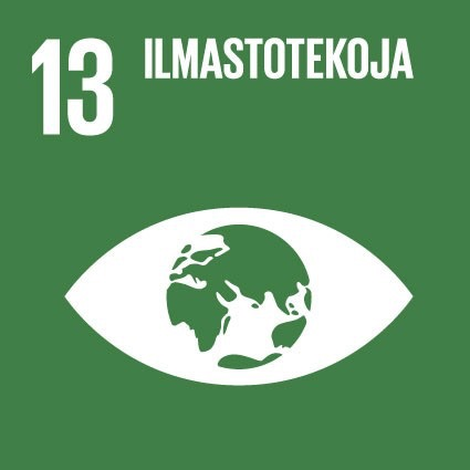 13 Ilmaistekoja