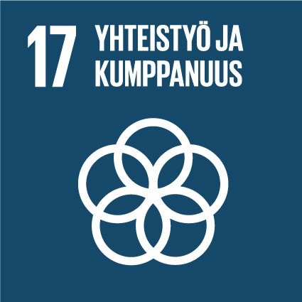 17 Yhteistyö ja kumppanuus 